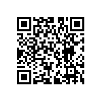 XCV300E-6FG256I QRCode