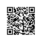 XMLBWT-00-0000-000PT30E1 QRCode