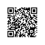 XMLBWT-02-0000-000HT20Z8 QRCode