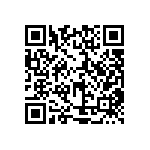 XQEAWT-H2-0000-00000LEE3 QRCode