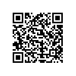 Y002950K0000T1L QRCode