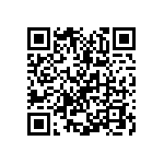 Y005810K4080T0L QRCode