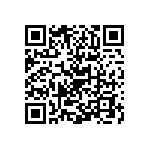 Y006248R0000T9L QRCode