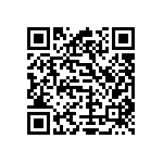 Y006251K4940T9L QRCode