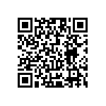 Y0101104K000B0L QRCode