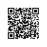 Y078529R2470T9L QRCode