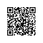 Y11691K91100T0L QRCode