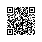 Y11691K91100T9R QRCode