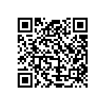 Y11727K25000B9R QRCode