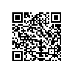 Y12881K10000B0L QRCode