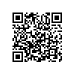 Y145345K2340T9L QRCode