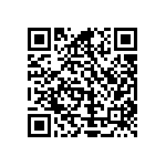 Y16241K00000T0W QRCode