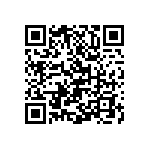 Y16241K55800T0W QRCode