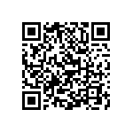 Y16243K40000T9W QRCode