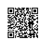 Y16251K24000T0W QRCode