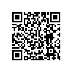 Y16251K25000T9R QRCode