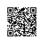 Y16251K80000B9W QRCode