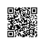 Y16251K87000B0R QRCode