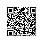 Y16251K87000T9R QRCode