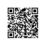 Y16252K00000T0W QRCode