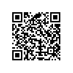 Y16254K50000T9R QRCode