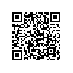 Y16254K65500T9R QRCode