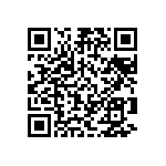 Y162813K0000T9W QRCode