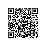 Y162870R0000B0R QRCode