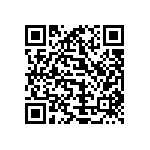 Y162880K0000B9R QRCode