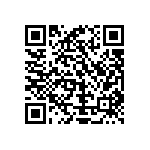 Y16291K20000T0W QRCode