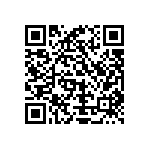 Y16291K30000T9W QRCode