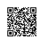 Y16294K87000T9R QRCode