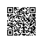 Y16295K60000T9R QRCode