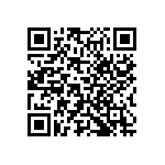 Y163010K0000Q9W QRCode