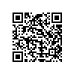 Y163013K0000T0R QRCode