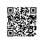 Y163310K0000T0R QRCode