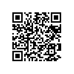 Y163395K3000T9W QRCode