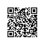 Y16361K30000T9W QRCode