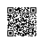 Y16364K42000T9R QRCode