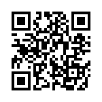 Y1691V0295BT9L QRCode