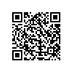 Y17281K00000T0L QRCode