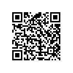 Y17451K20000T0L QRCode