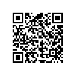 Y17451K38290Q0L QRCode