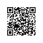 Y17451K42000T0R QRCode