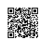 Y17452K87000B2R QRCode