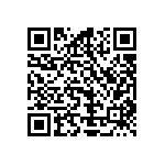 Y17461K62000Q0R QRCode