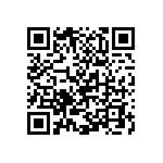 Y174620K5000B9R QRCode