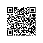 Y17463K25123T9L QRCode