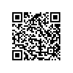 Y17509K90000F0L QRCode