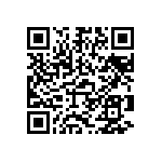 Y1751730R304U9L QRCode